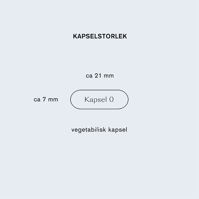 Holistic Lions mane 60 vegetabiliska kapslar Lions mane 60 vegetabiliska kapslar