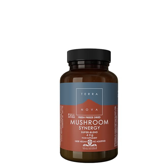 Mushroom Synergy 50 kapslar Mushroom Synergy 50 kapslar