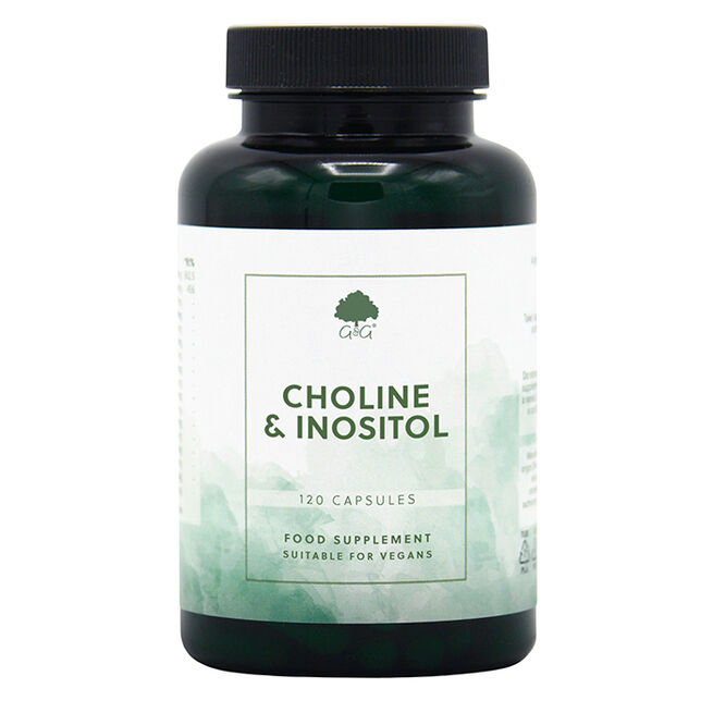 Choline 250mg & Inositol 250mg 120 kapslar Choline 250mg & Inositol 250mg 120 kapslar