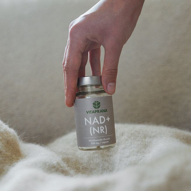 NAD+ Nikotinamid Ribosid 30 kapslar  NAD+ 300 mg Nikotinamid Ribosid 30 kapslar