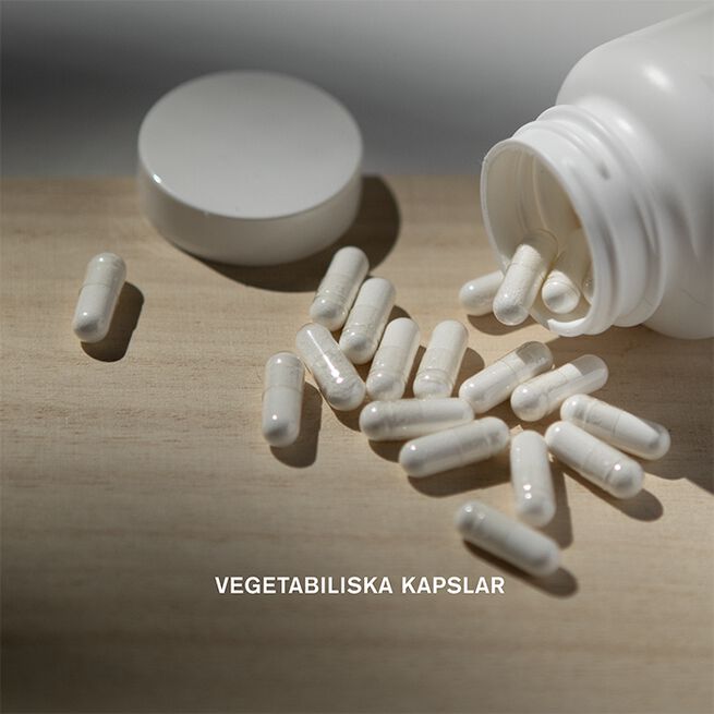 Holistic Lions mane 60 vegetabiliska kapslar Lions mane 60 vegetabiliska kapslar