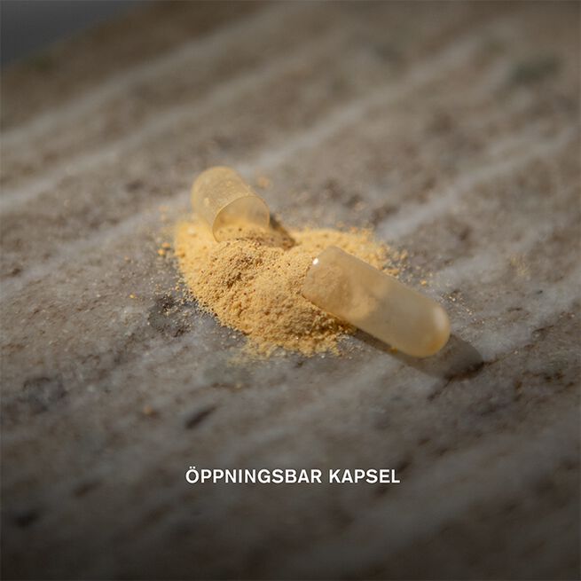 Holistic Lions mane 60 vegetabiliska kapslar Lions mane 60 vegetabiliska kapslar