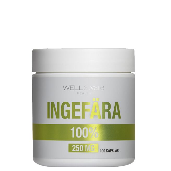 WellAware Ingefära 250 mg Ingefära 250 mg 100 kapslar