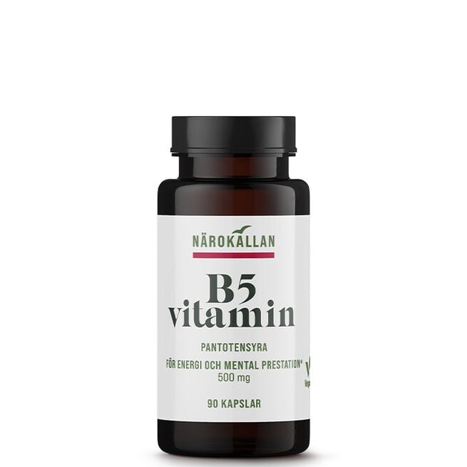 B5 500 mg 90 kapslar B5 500 mg 90 kapslar