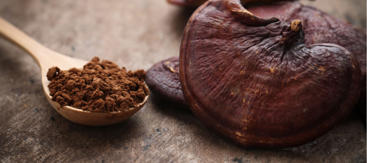 reishi reishi