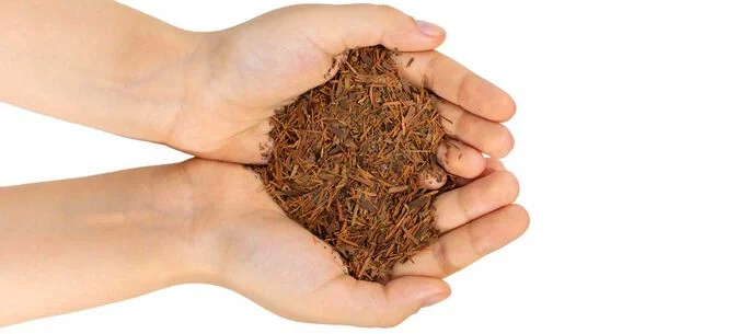 Pau Dárco Pau Dárco