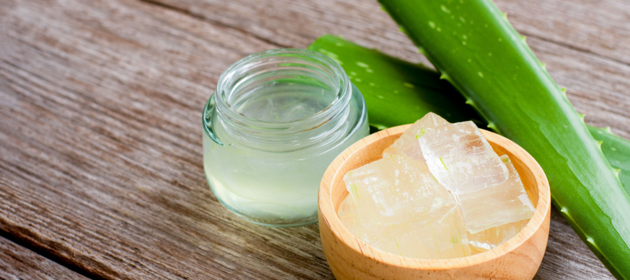 Därför är aloe vera så uppskattad i hudvård Därför är aloe vera så uppskattad i hudvård