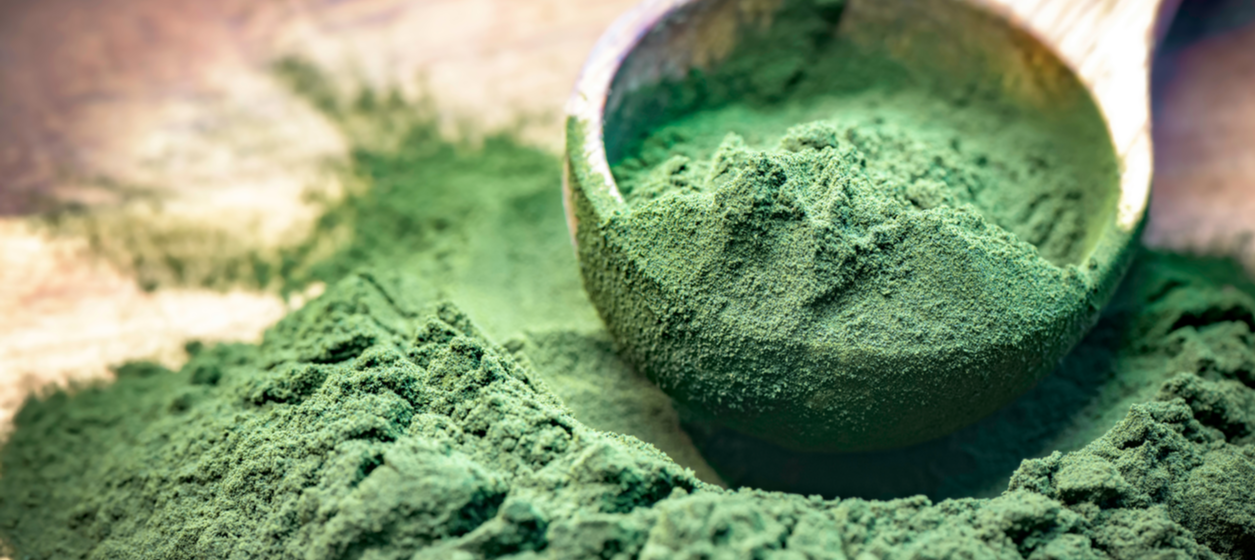 Chlorella pulver Chlorella pulver