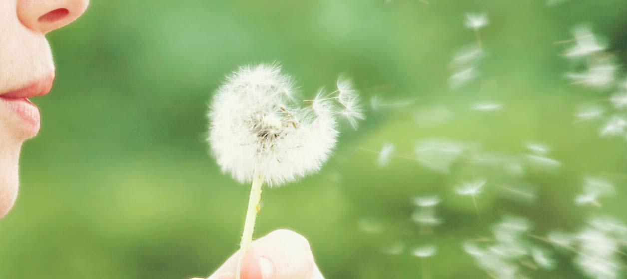 Naturlig hjälp vid pollenallergi Naturlig hjälp vid pollenallergi