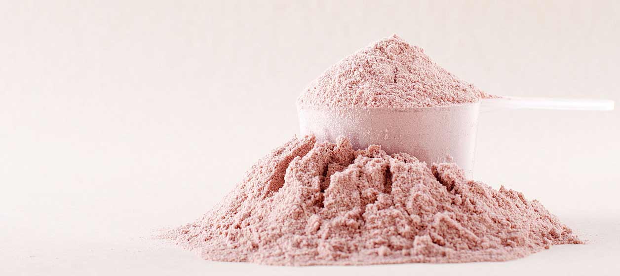Vilket proteinpulver ska man välja Vilket proteinpulver ska man välja?