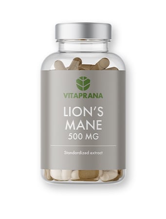 Lions Mane 500mg