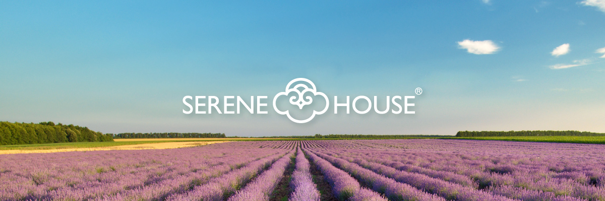 Serene House