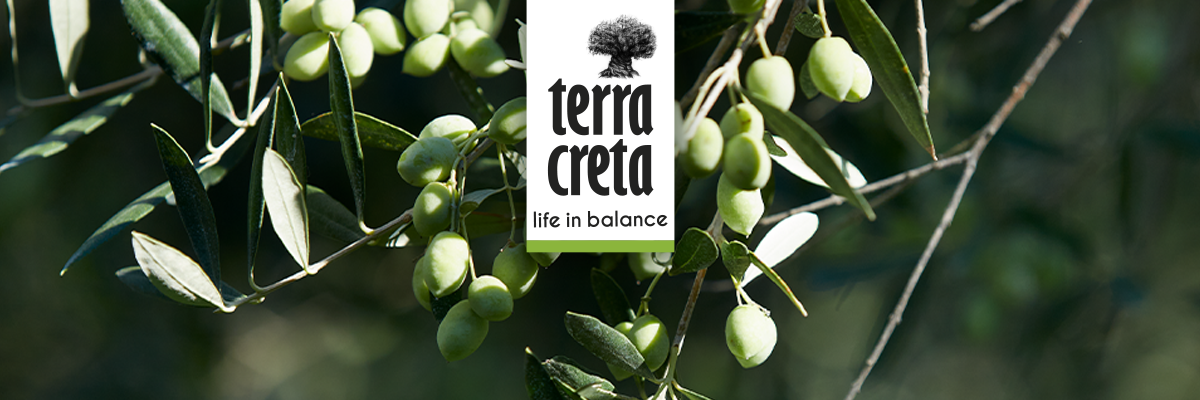 Terra Creta