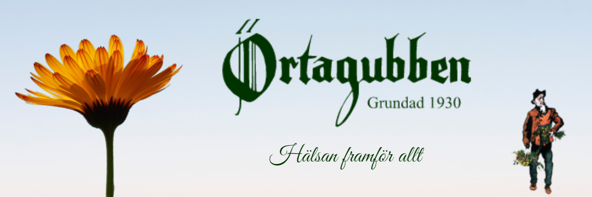 Örtagubben
