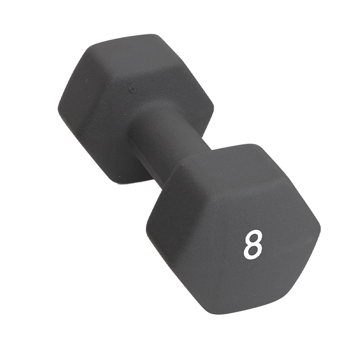 Abilica Hantel 1–10kg