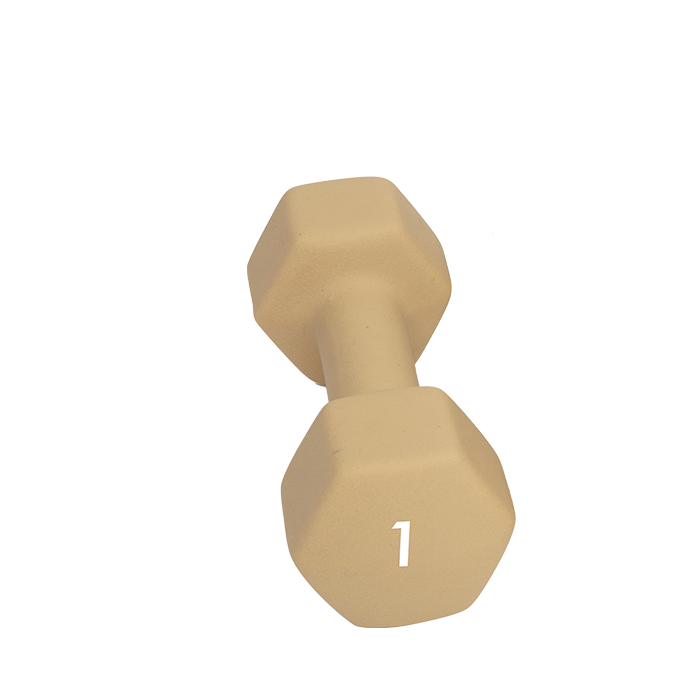 Abilica Hantel 1–10kg