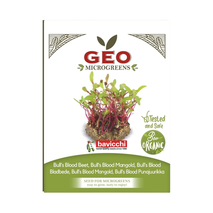 Rödbeta Bull’s Blood Microgreens Ekologisk 15g