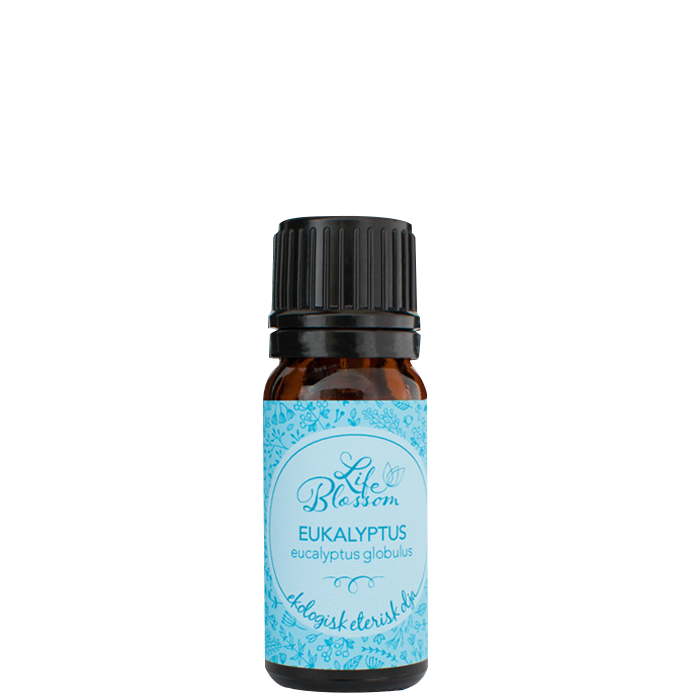 Eterisk olja Eucalyptus globulus EKO, 10 ml
