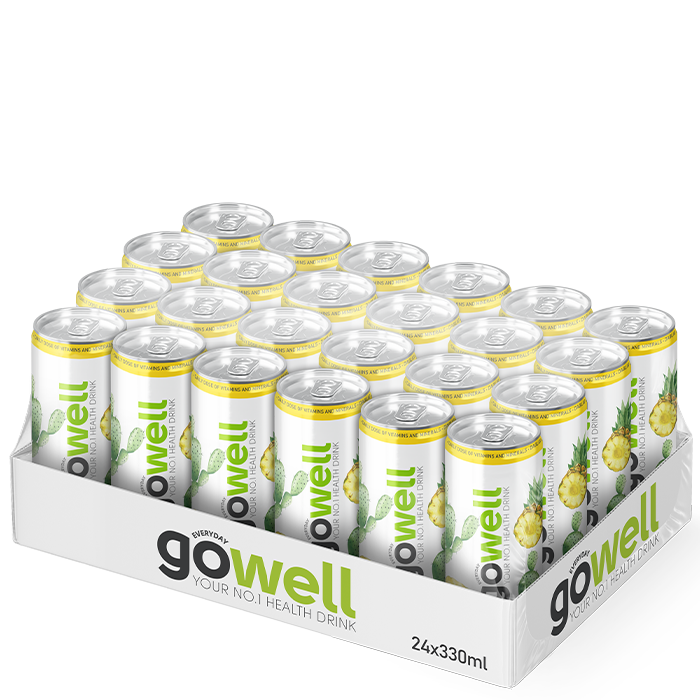 24 x GoWell Funktionsdryck Flak 33 cl