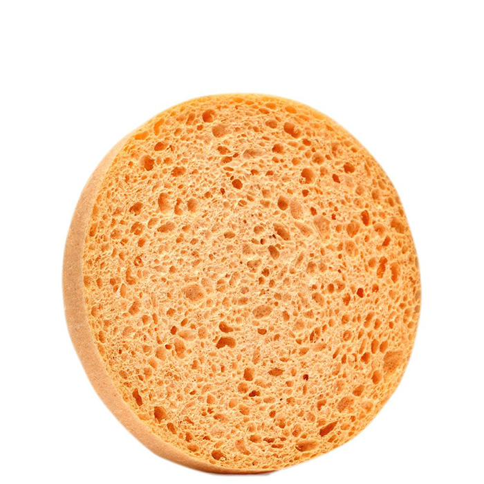Rengöringssvamp