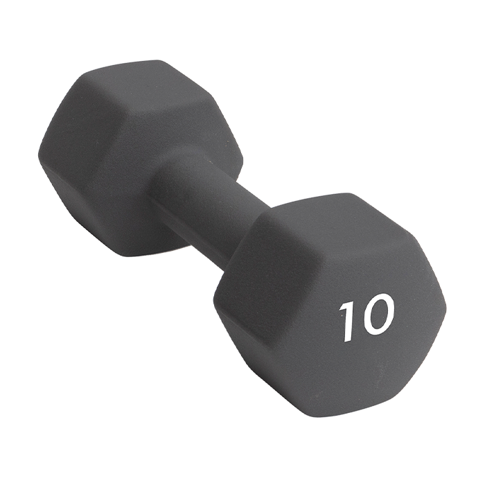 Abilica Abilica DumbBell 10kg