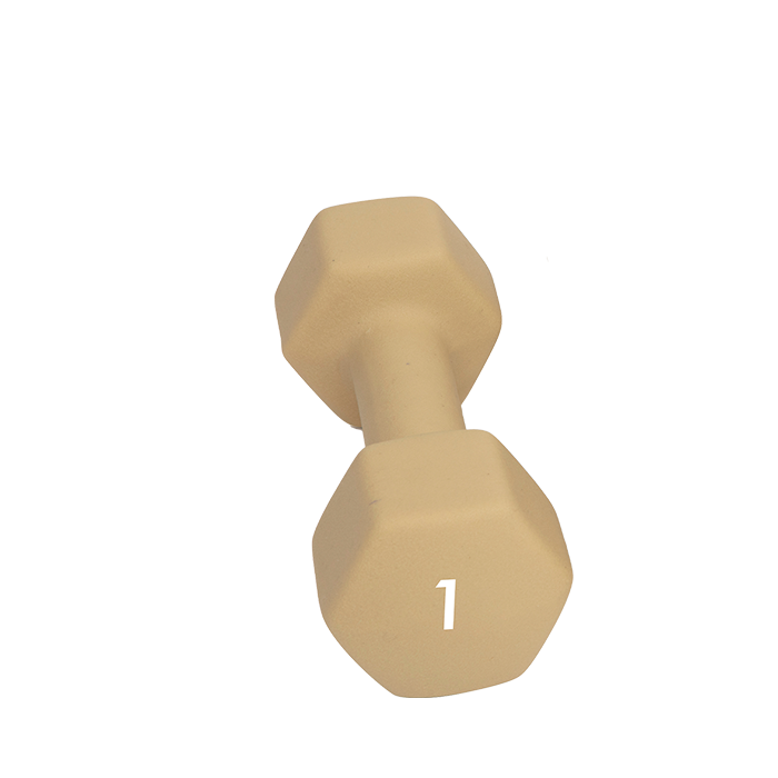 Abilica Hantel 1&ndash;10kg