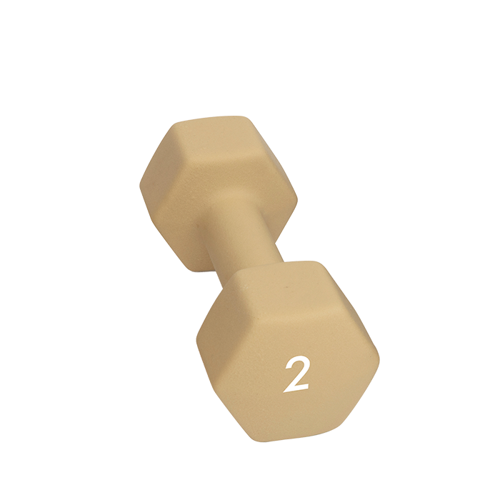 Abilica Hantel 1–10kg