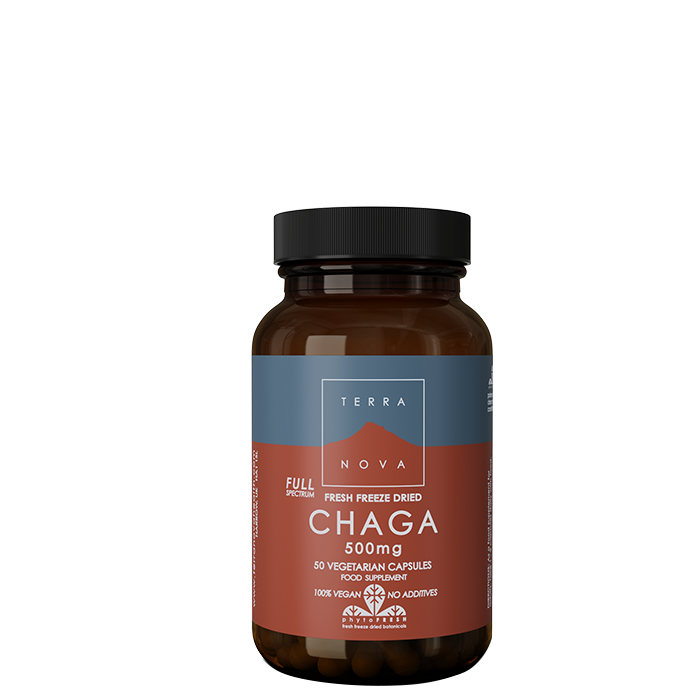 Chaga 500 mg 50 kapslar