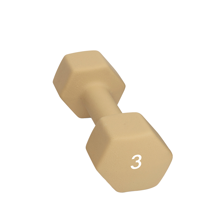 Abilica Hantel 1–10kg