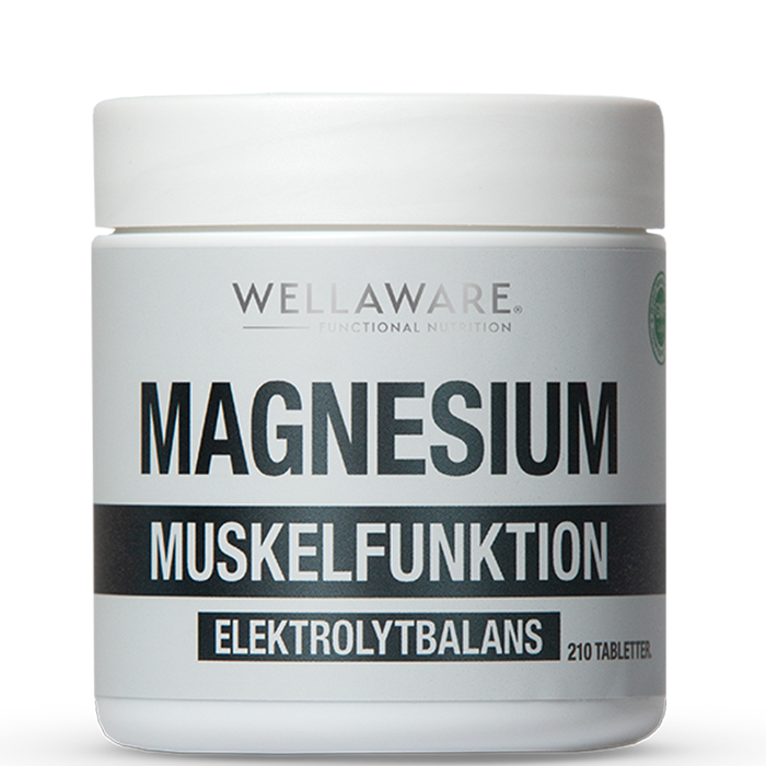 Magnesium 210 Minitabletter