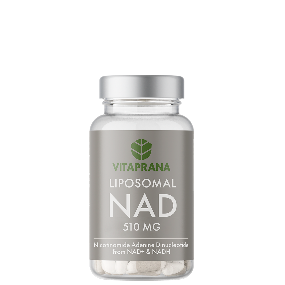 Liposomal NAD+ med NADH 510 mg 30 kapslar