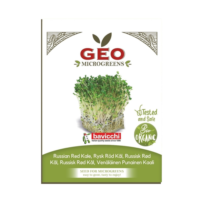 Grönkål Red Russian Microgreens Ekologisk 15g